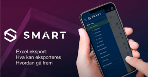 Excel-eksport, hva kan eksporteres, hvordan gå frem